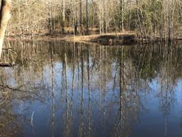25125 County Road 4117