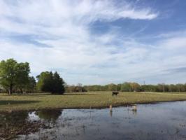 Lot 1 RS County Road 3350