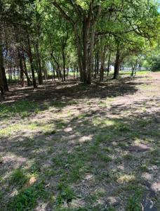 Lot 10 Vz County Road 3732