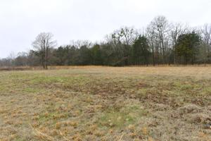 Lot 23 County Road 1953
