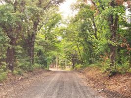 Lot 465 County Road 4710 (Lot 465)