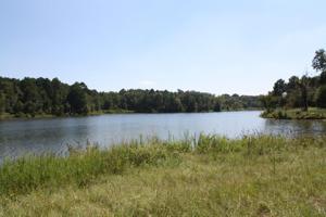 Lot 14 Pr 52320