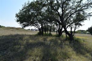 Lot 22 Lot 22 Shelbi Lane