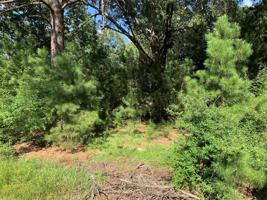 4139 Highway 163