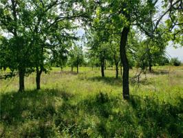 Lot 61 TBD Feather Bay Blvd Boulevard