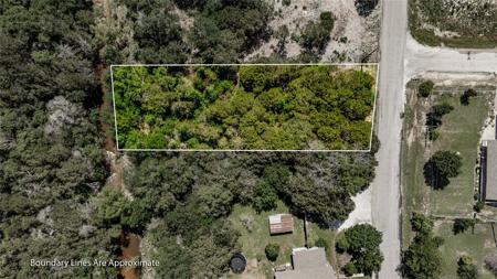 809 Thicket Trail
