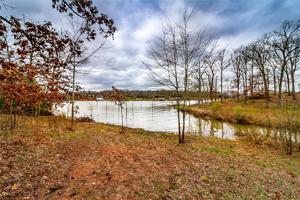 Lot 58 Indian Gap