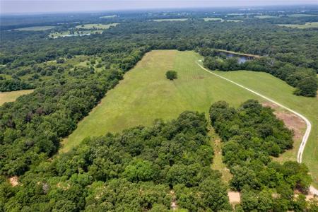 TBD 41 Acres County Road 1195