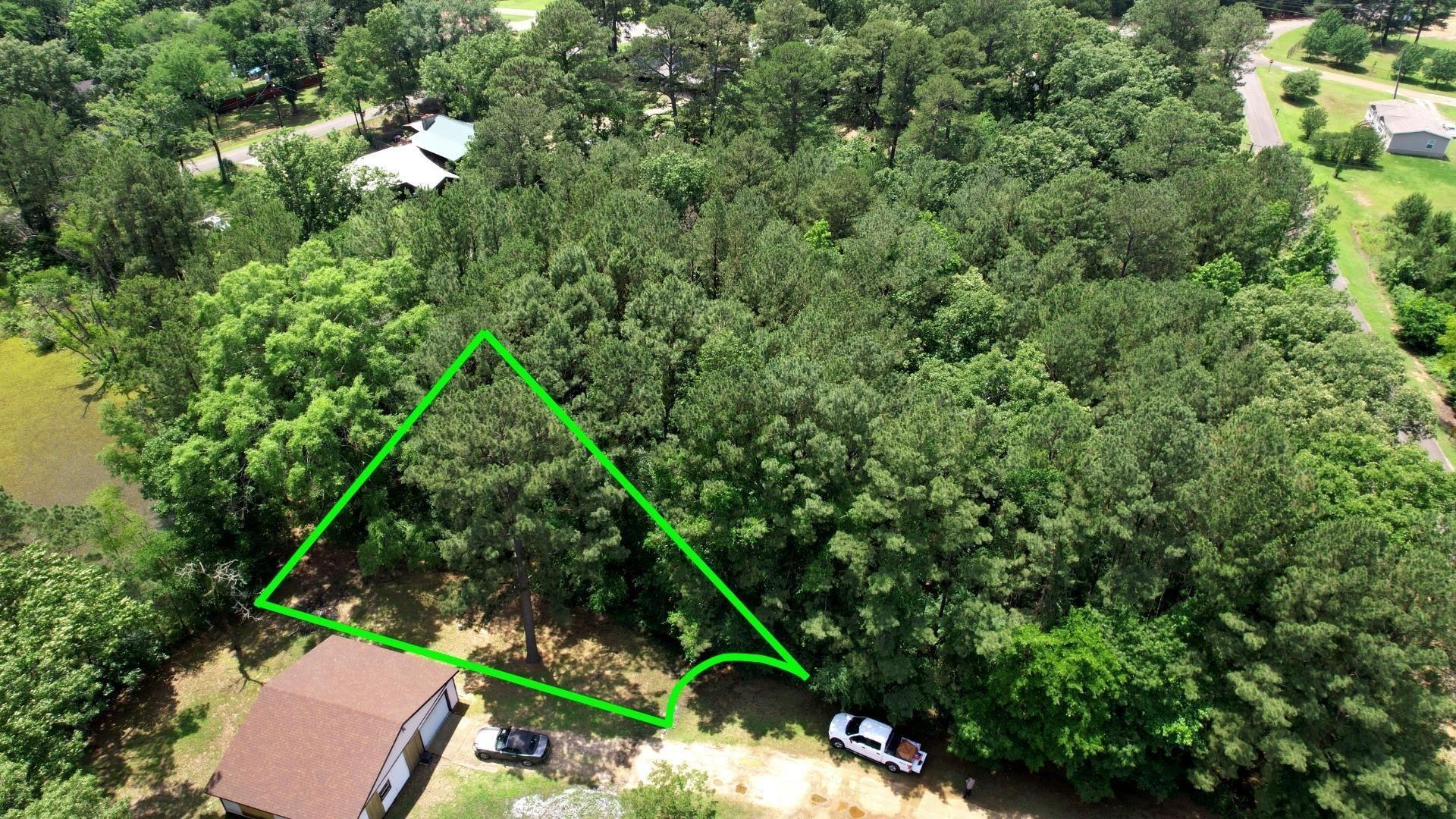 Image 4 Image 4