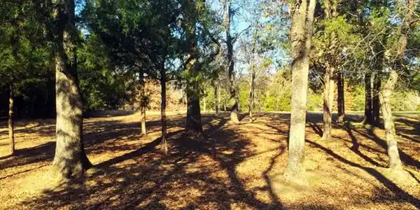 64 Jackson Circle