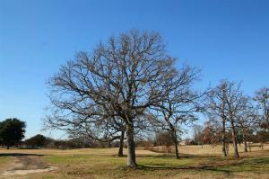 Private Road 5940 Lot 17