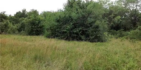 20 SE County Road 3046 Lot 20-1