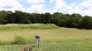 Lot 6 Dripping Springs Road