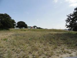 Lot 28 Lot 28 J.T. Lane