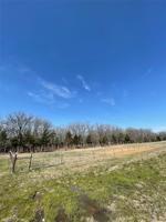 33483 Fm Road 429