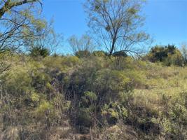 Lot 1033 Cinnamon Teal