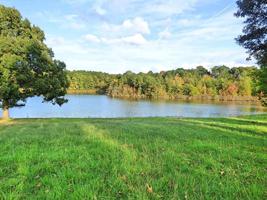Lot 5 PR 52320
