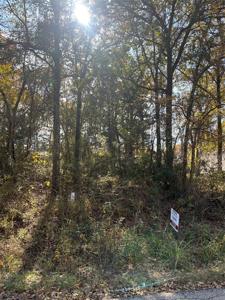 TBD Blackhawk Drive