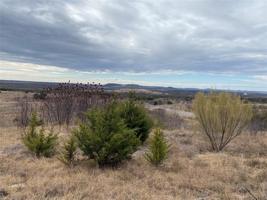 Lot98 Night Hawk Drive