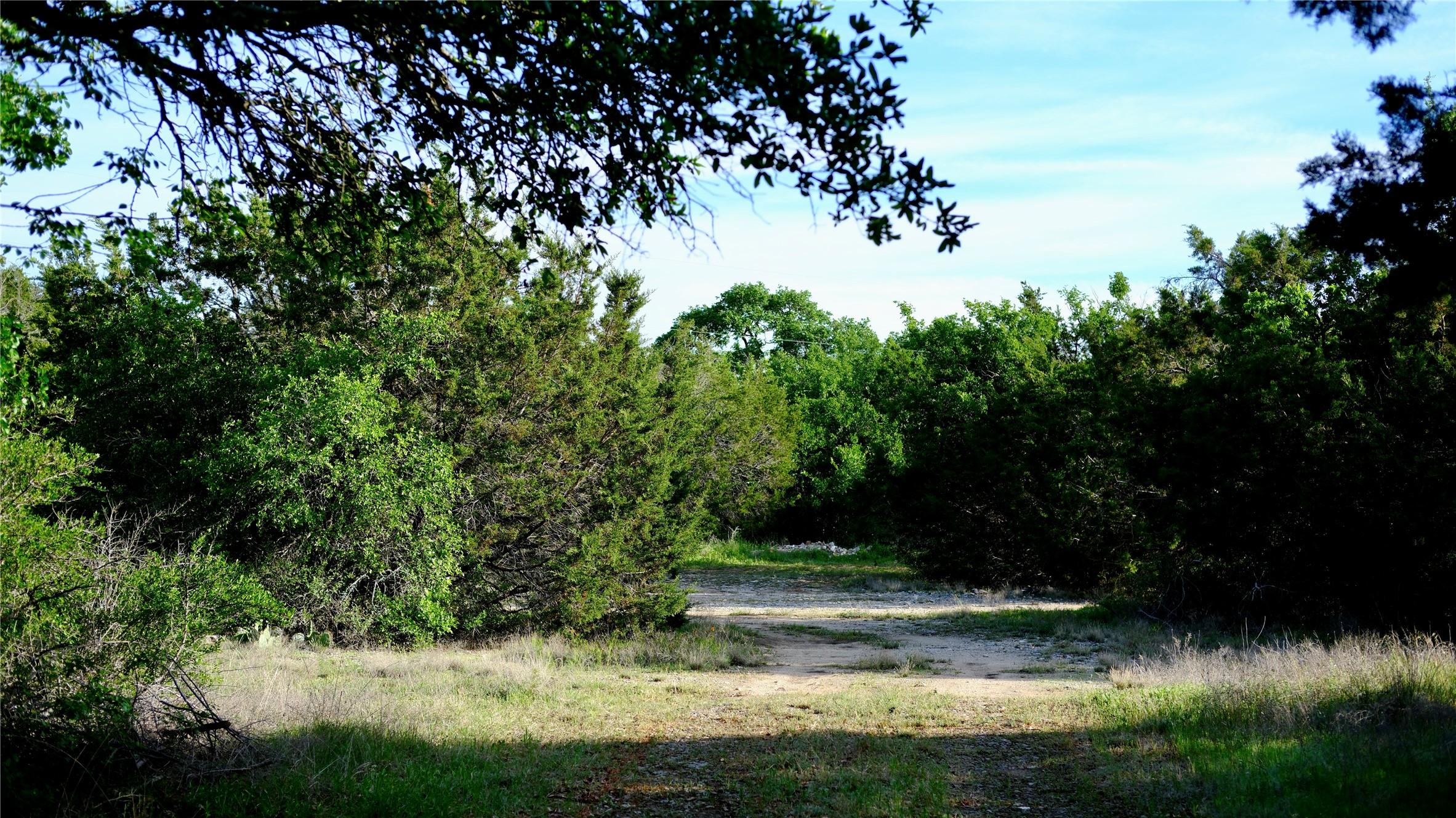 Image 3 Image 3