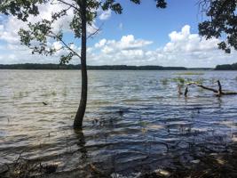 Lot 63 Lot 63 Anchor Point
