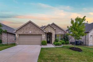 509 Calliopsis Street