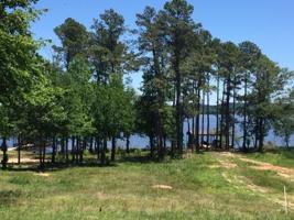21565 Joe Paul Lane