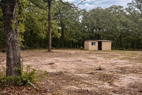 Image 1 Image 1