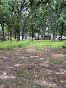 LT 361 Meadow Heath