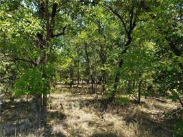 675 Oak Cove
