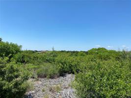 Lot645R Canyon Wren Loop