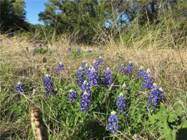 Lot 979 TBD979 Lake Breeze Drive