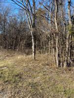 TBD Sycamore Tree Road