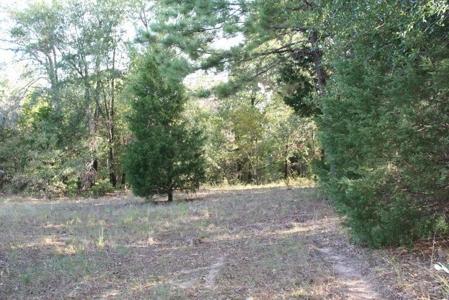 CR 2813 County Road 2813