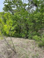 Lot 103 Ash Court
