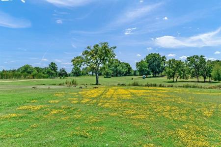 Lot 31 Palmer Lane