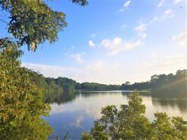 Lot 441 Safari Bluff