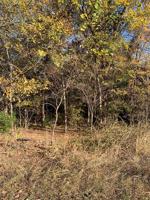 Lot 91 Shadow Lane