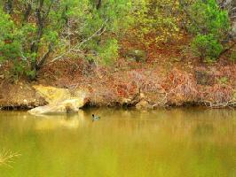 4541 Fm Road 1148 Lot 13
