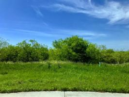 1211 Tulip Court Lot 2503
