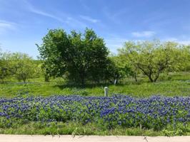 3119 Sanctuary Drive Lot 2500