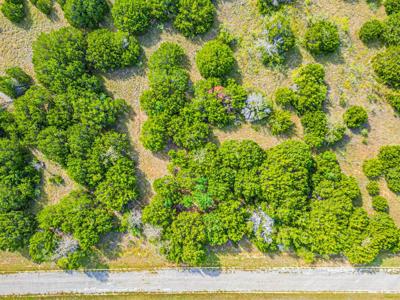 39041 Mesquite Trail
