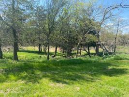 TBD 24. 84 Acres County Road 1730