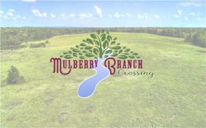Lot TR County Road 4305