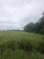 TBD Tawakoni Drive