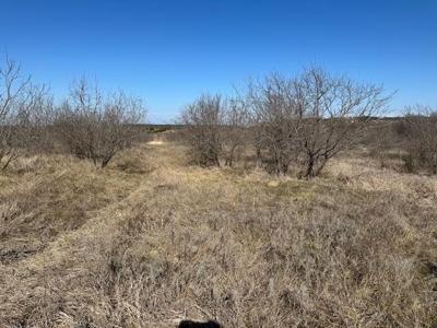 1050 Spotted Owl Court