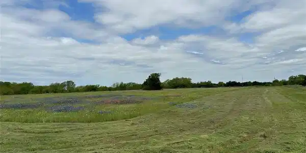 7 FM 633