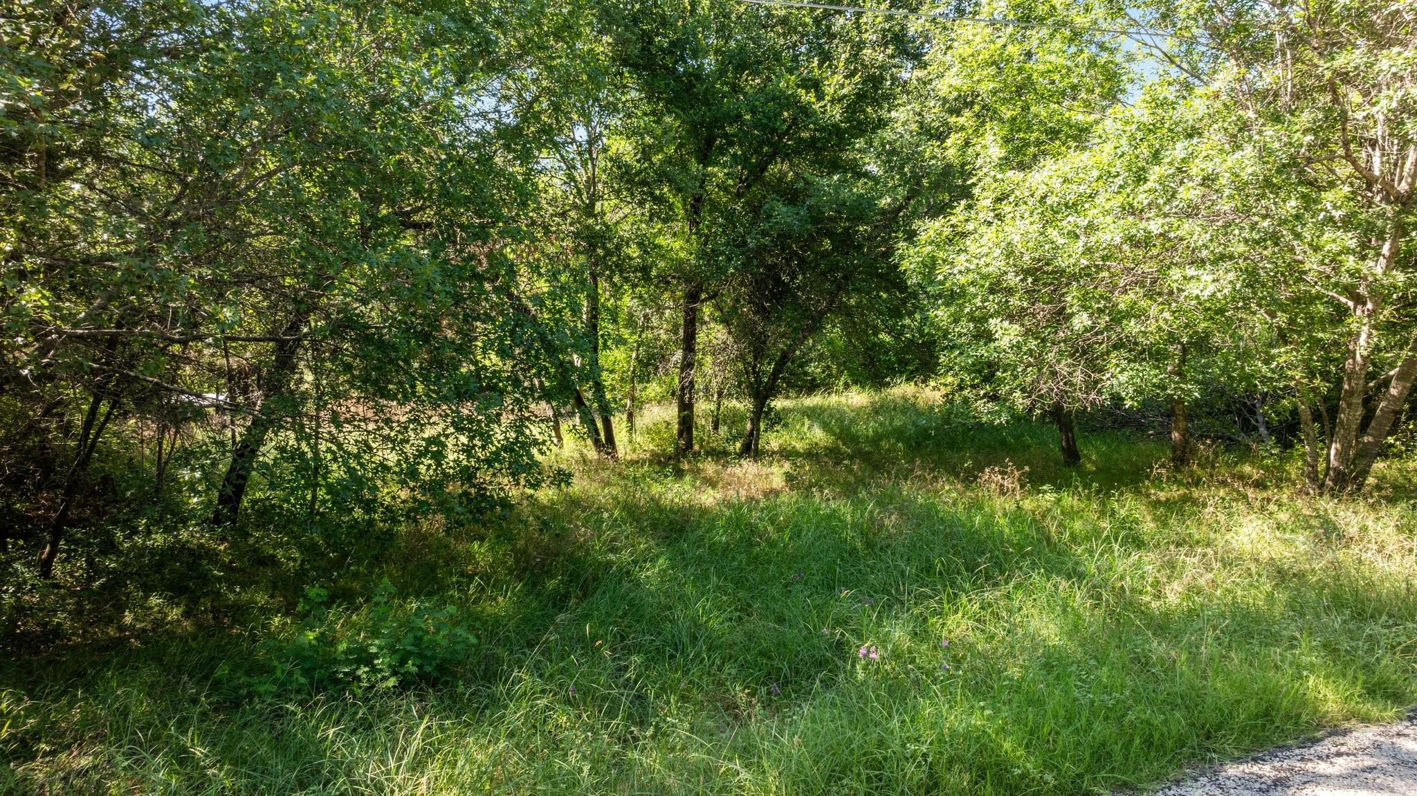 Image 3 Image 3