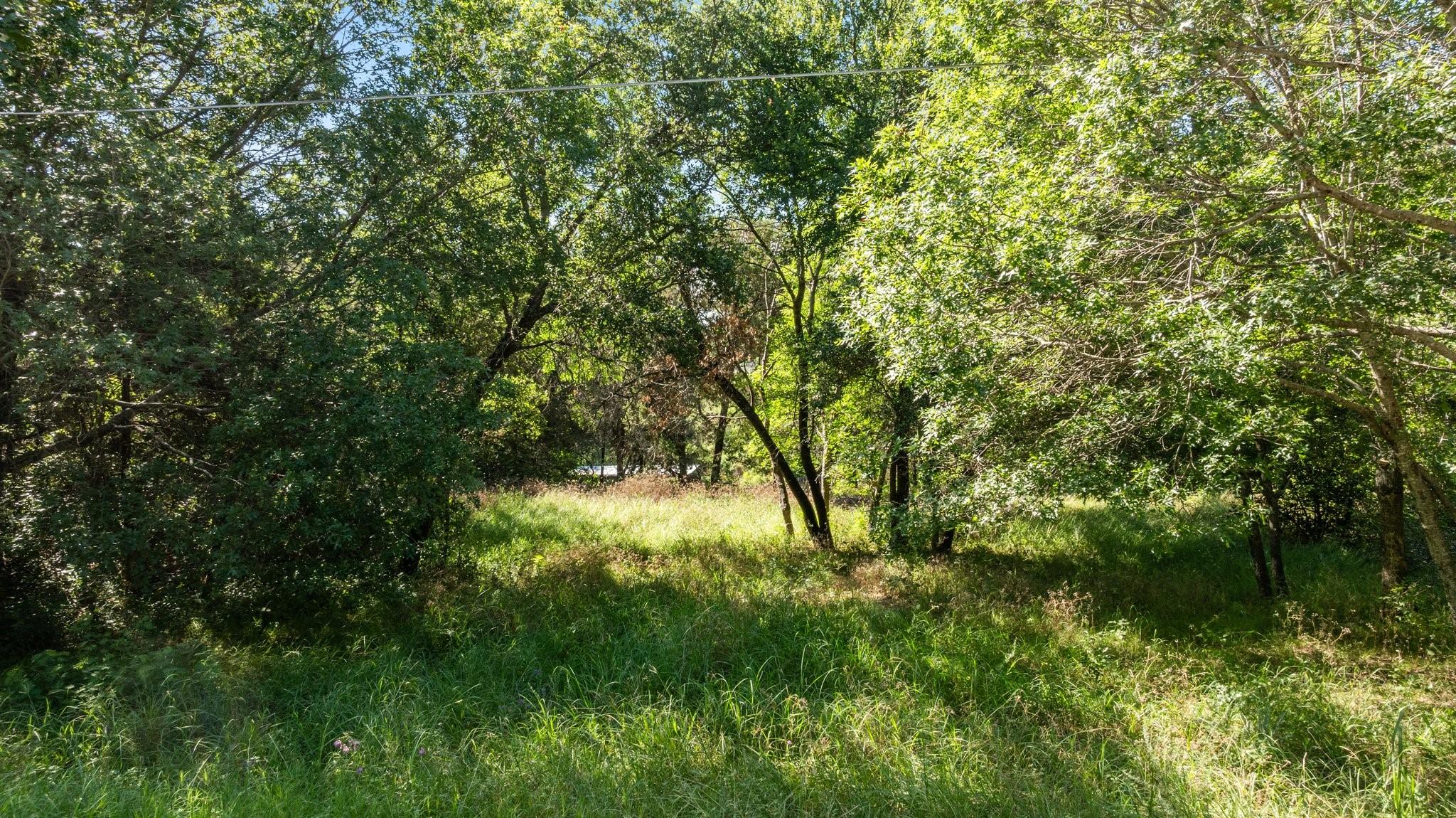 Image 4 Image 4
