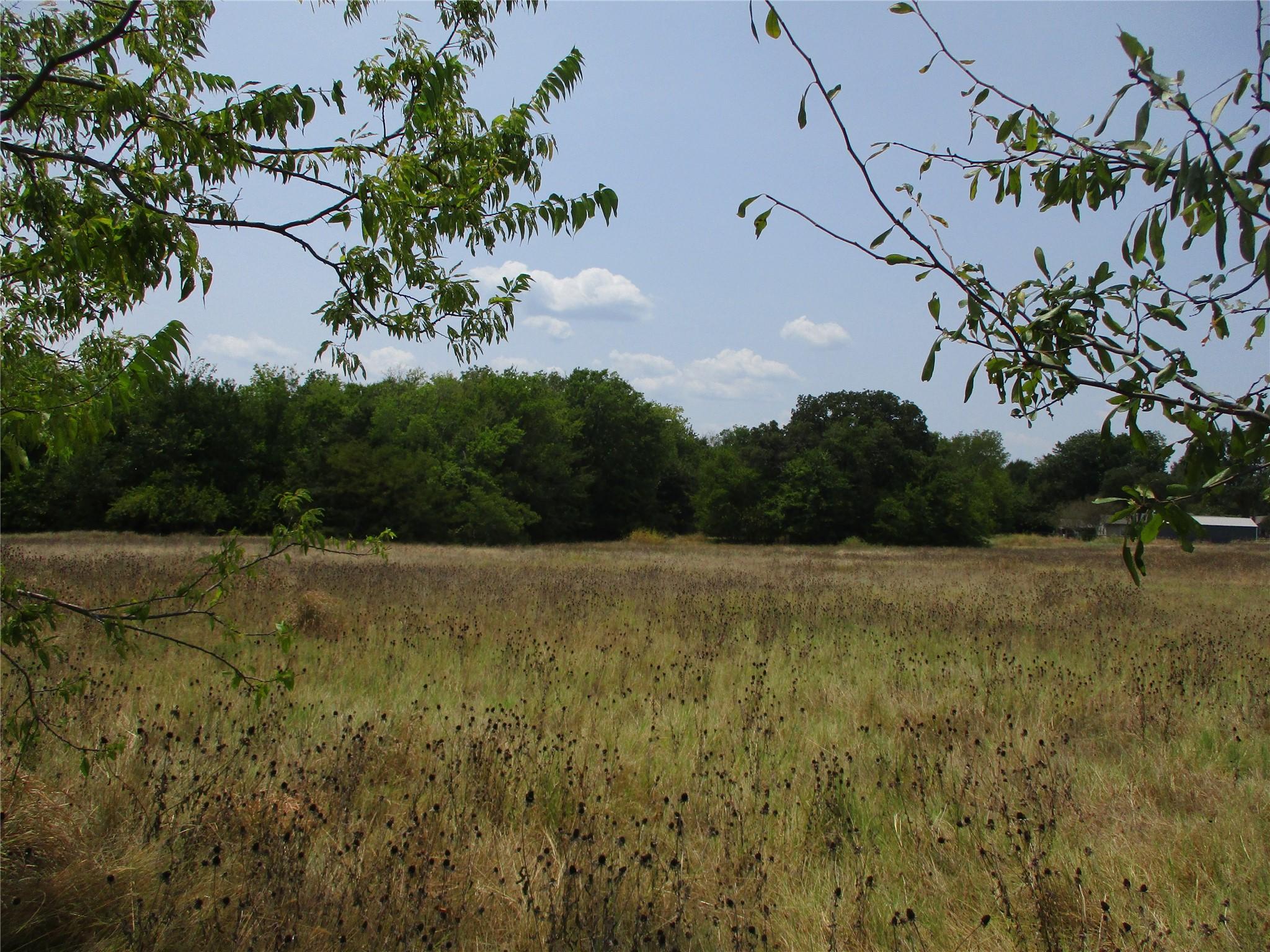Image 4 Image 4
